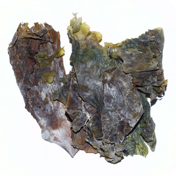 Iiri vetikas Kombu / Sweet Irish Kombu
