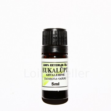 Eukalüpt (ahtalehine)