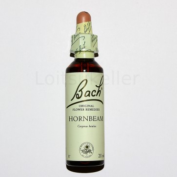 Hornbeam: Harilik valgepöök