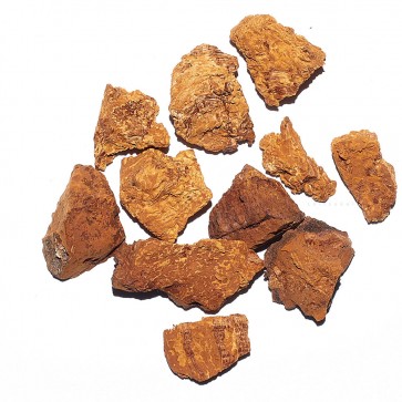 Kaskäsn e. must pässik tükkidena / Chaga pieces from Estonia