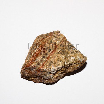 Jaspis Leopard toorikivi keskmine