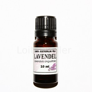 Lavendel tähk / Lavandula angustifolia