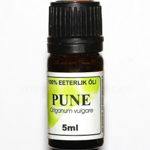 Pune / Oregano