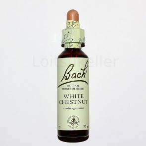 White Chestnut: Harilik hobukastan