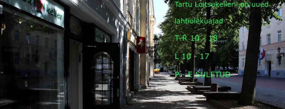 Tartu Loitsukeller Küüni 2   lahtiolekuajad